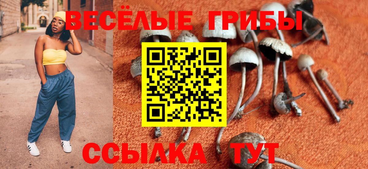 Сокол  Галлюциногенные грибы ЛСД  Вход с VPN 